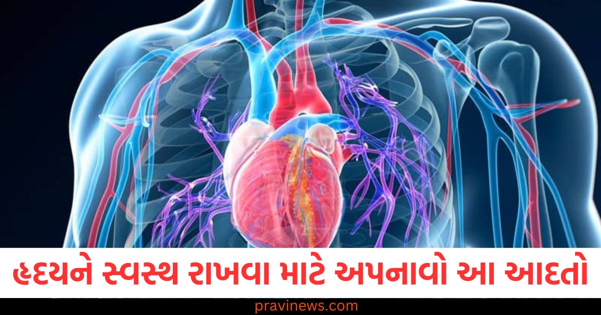 શિયાળામાં, (In winter), હૃદય, (Heart), સ્વસ્થ રાખવા, (Keep healthy), આદતો, (Habits),