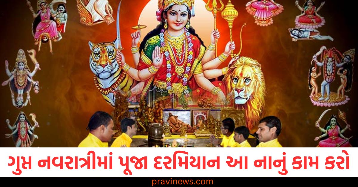 ગુપ્ત નવરાત્રીમાં પૂજા દરમિયાન આ નાનું કામ કરો, તમારું નસીબ ચમકશે! https://www.pravinews.com/world-news-in-gujarati/5-major-reasons-for-prayagraj-mahakumbh-stampede-on-mauni-amavasya-97716