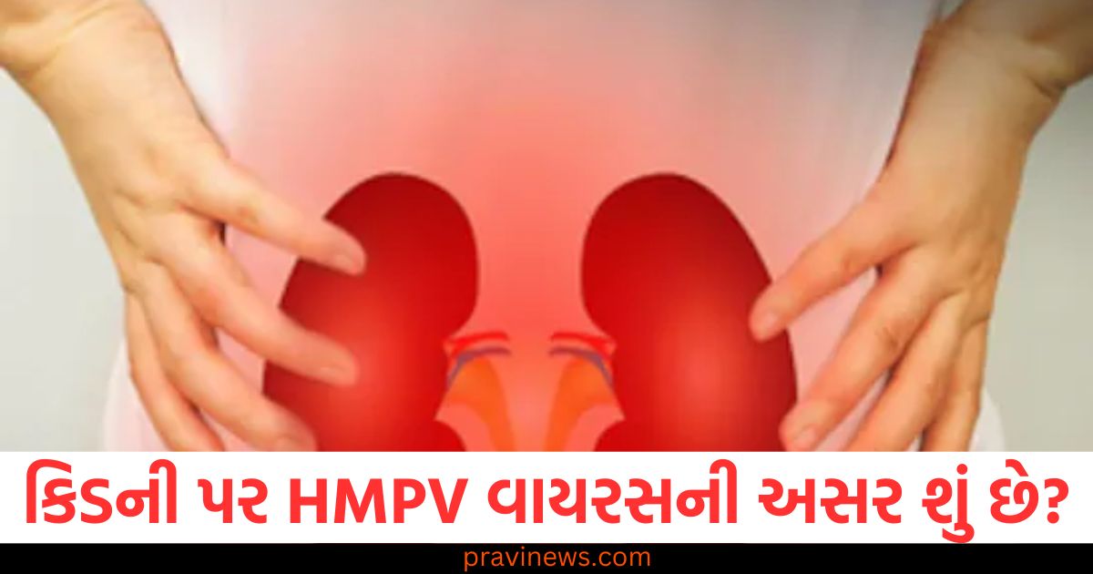 કિડની પર HMPV વાયરસની અસર શું છે? જાણો નિષ્ણાતો શું કહે છે https://www.pravinews.com/lifestyle/tips-to-make-carrot-juice-without-juicer-machine-at-home-extract-vegetable-juice-with-these-tricks-84816