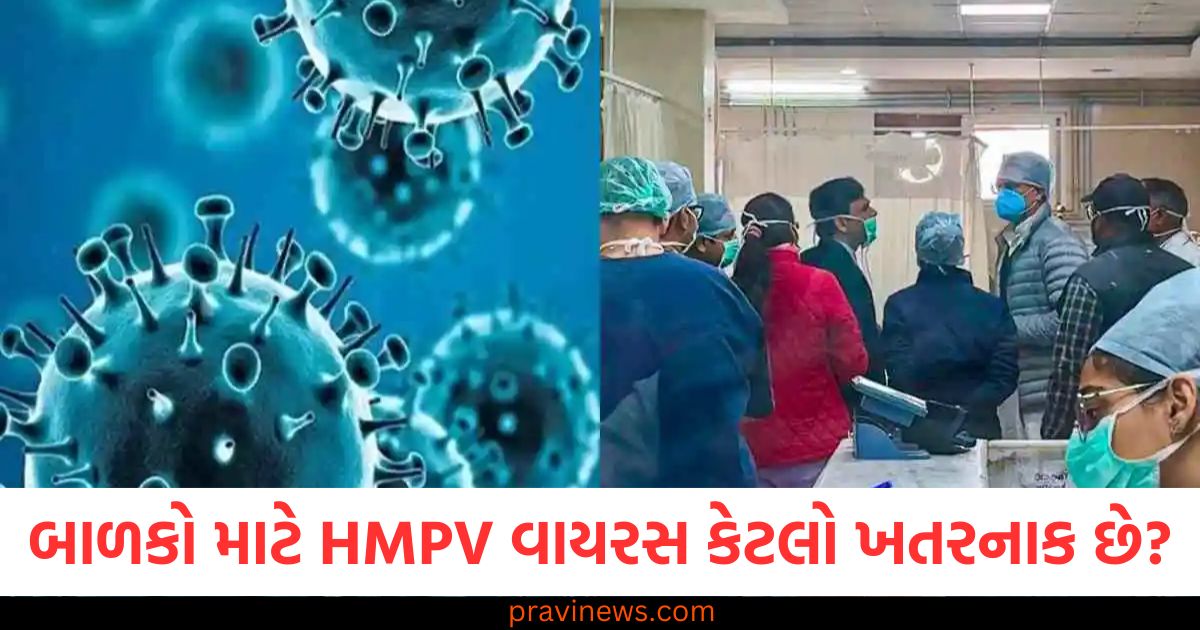 બાળકો માટે HMPV વાયરસ કેટલો ખતરનાક છે? નવો અભ્યાસ આશ્ચર્યચકિત https://www.pravinews.com/tag/hmpv