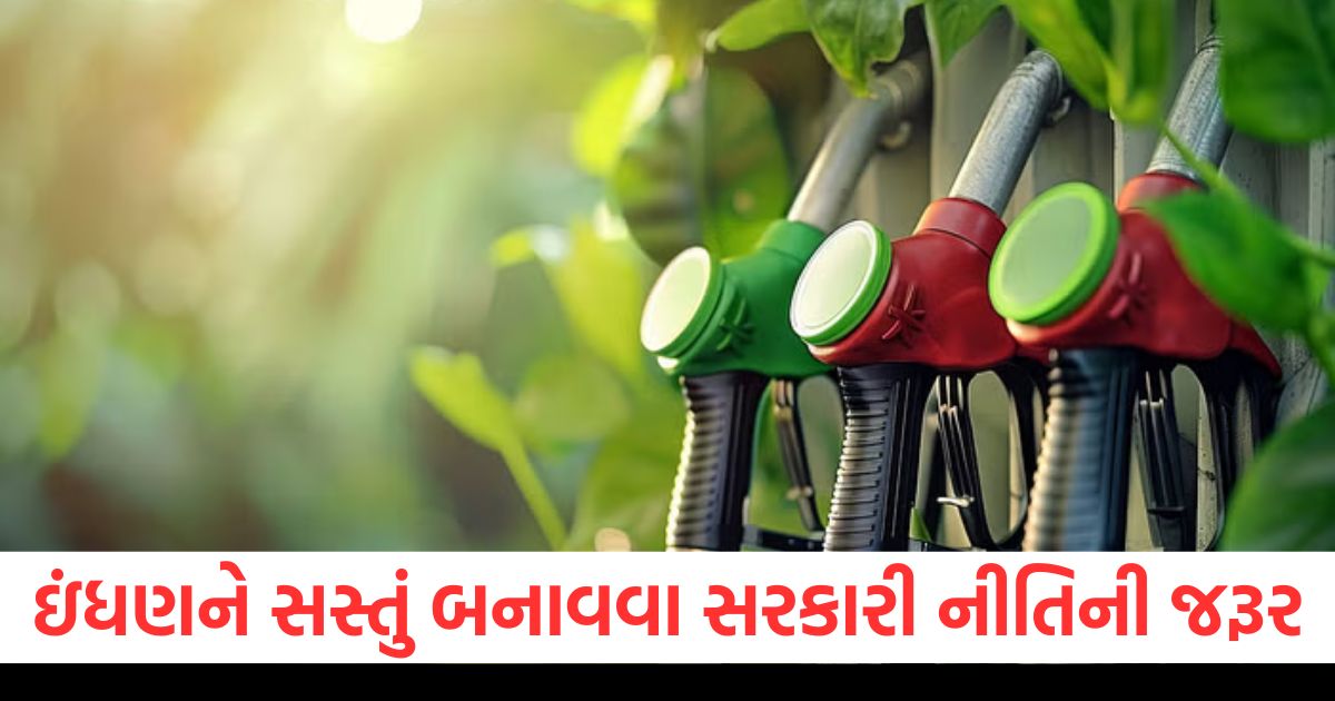 બાયોઇથેનોલ ઇંધણને સસ્તું બનાવવા સરકારી નીતિની જરૂર , હોન્ડા અપીલ કરી https://www.pravinews.com