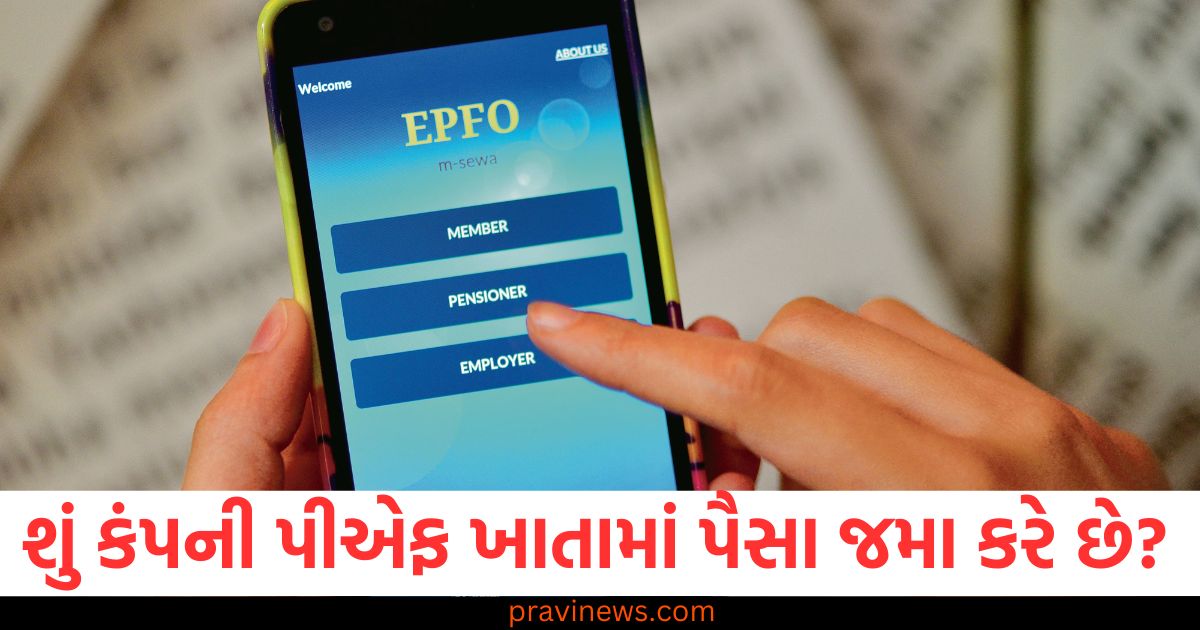 કંપની, (Company), દર મહિને ,(Every month), પીએફ ખાતું ,(PF Account), પૈસા જમા કરાવે છે, (Deposits money), આ રીતે જાણો, (Find out this way),