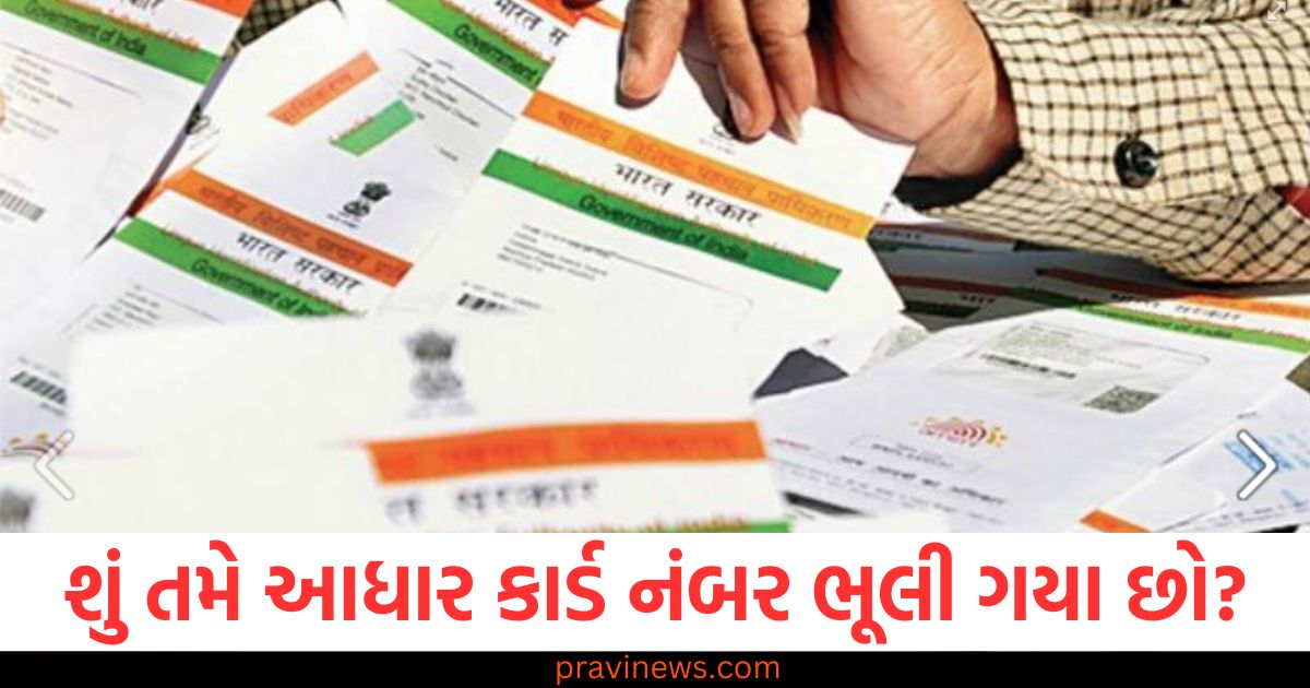 આધાર કાર્ડ નંબર, (Aadhaar card number), ભૂલી ગયા, (Forgotten), ચિંતા કરવી ,(Worry), આ કાર્ય કરો, (Do this task),