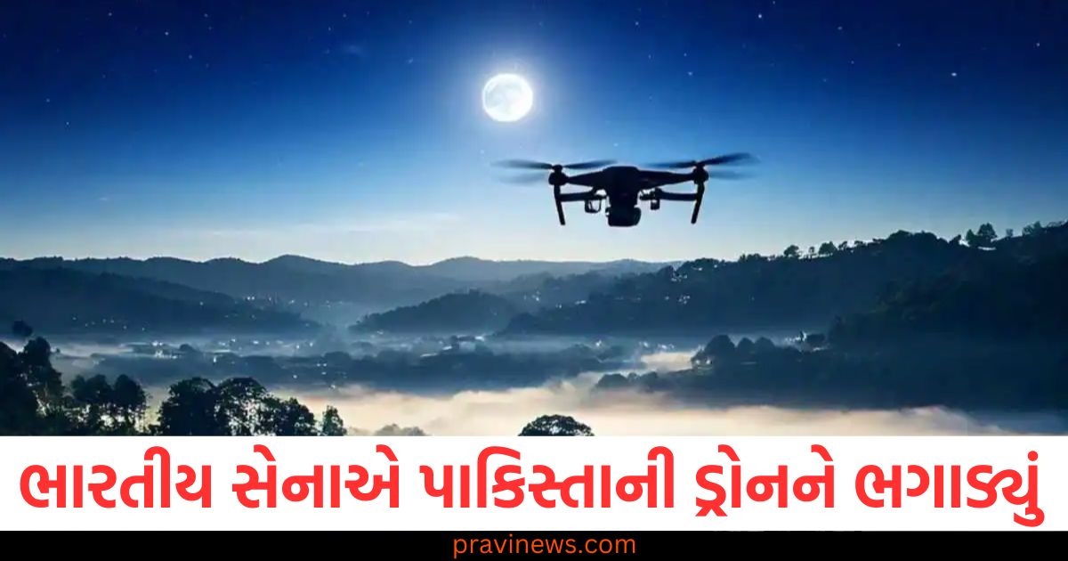 ભારતીય સેના, પાકિસ્તાની ડ્રોન, ભગાડવું, ગોળીબાર, સેનાની કામગીરી,