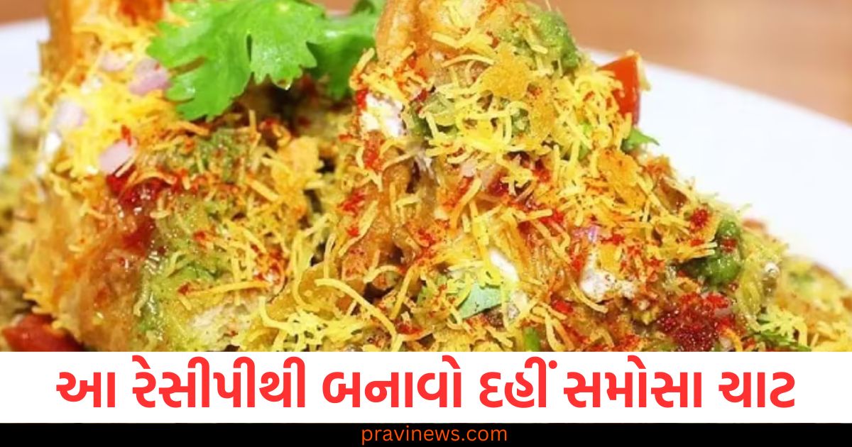 રેસીપી, દહીં, સમોસા, ચાટ, સ્વાદ,