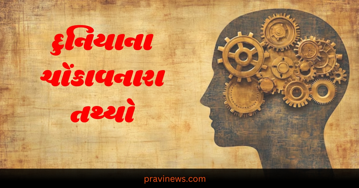 Interesting Facts: શું તમને ખબર છે દુનિયાના આ રોચક તથ્યો વિશે? જાણીને કહેશો ના હોય.....! https://www.pravinews.com/world-news-in-gujarati/mahakumbh-2025-prayagraj-sangam-ghat-rasulabad-ghat-dashaashvmedh-ghat-triveni-ntcpvp-86899