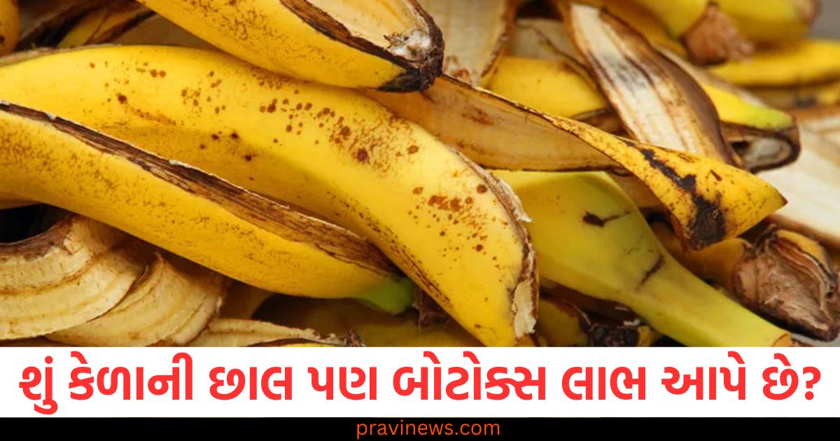 શું કેળાની છાલ પણ બોટોક્સ લાભ આપે છે? સત્ય જાણો https://www.pravinews.com/lifestyle/new-year-2025-dos-and-don-ts-naye-saal-par-kya-kare-or-kya-na-kare-80806