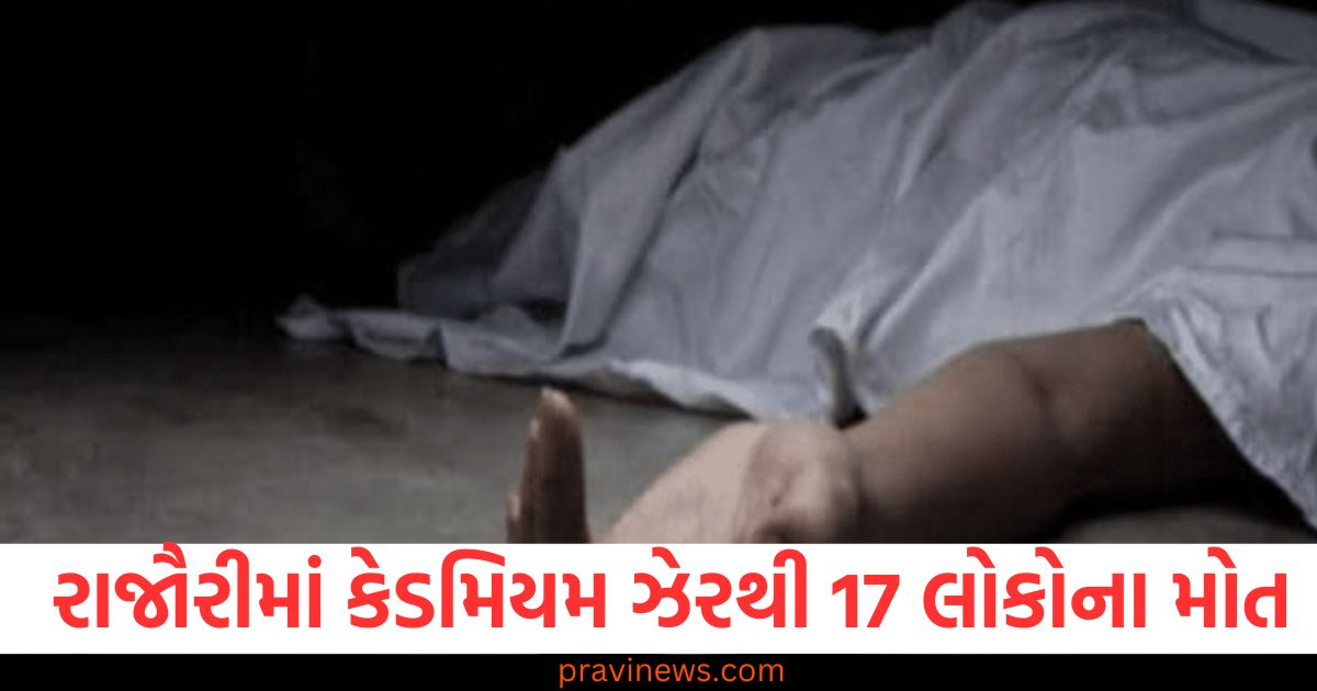 રાજૌરી (Rajouri), કેડમિયમ ઝેર (Cadmium poisoning), 17 લોકોના mortes (17 people's death), કેદમિયમ ઝેરપ્રદ અસર (Cadmium toxicity effects),