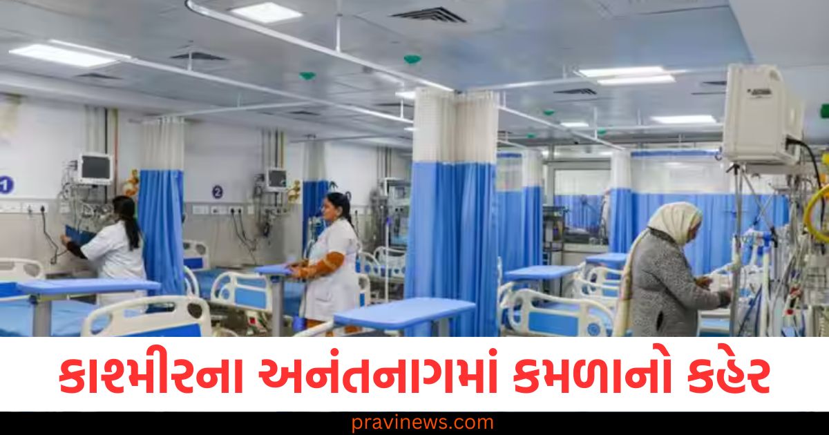 કાશ્મીરના અનંતનાગમાં કમળાનો કહેર, 27 લોકો પોઝિટિવ આવતાં ગામમાં ભયનો માહોલ https://www.pravinews.com/world-news-in-gujarati/jammu-kashmir-27-people-suffering-from-jaundice-in-anantnag-gutlibagh-village-96238