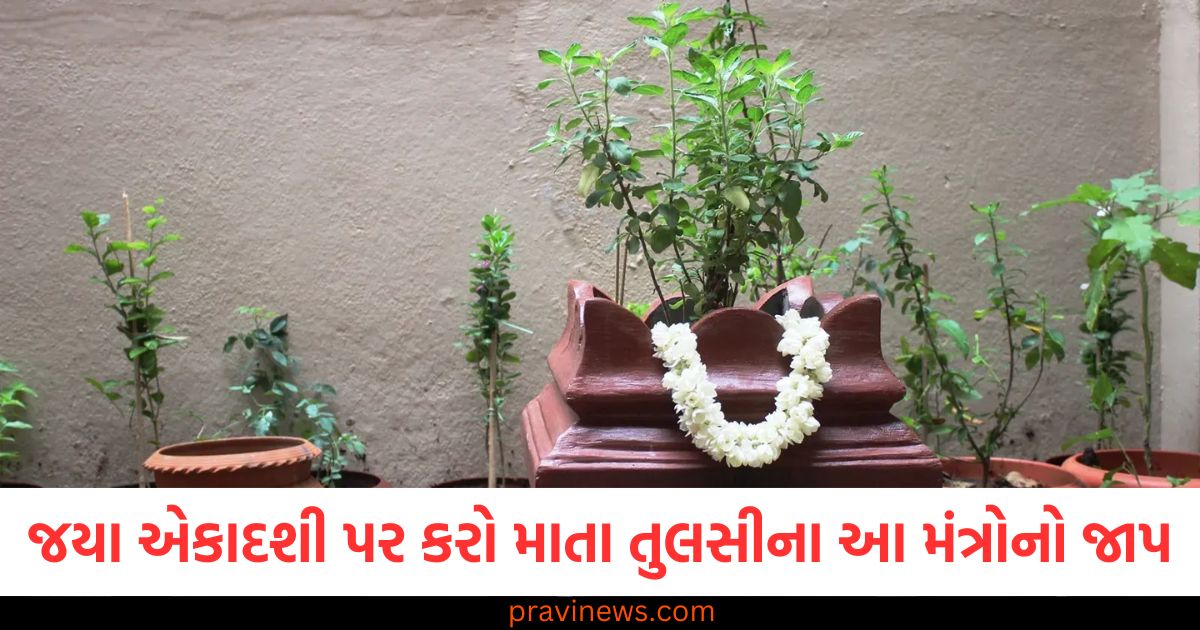 જયા એકાદશી પર કરો માતા તુલસીના આ મંત્રોનો જાપ, ભગવાન વિષ્ણુ વરસાવશે તમારા પર કૃપા https://www.pravinews.com/religion/astrology/shani-nakshatra-gochar-february-2025-positive-impact-on-these-zodiac-sign-will-shine-from-basant-panchami-97903