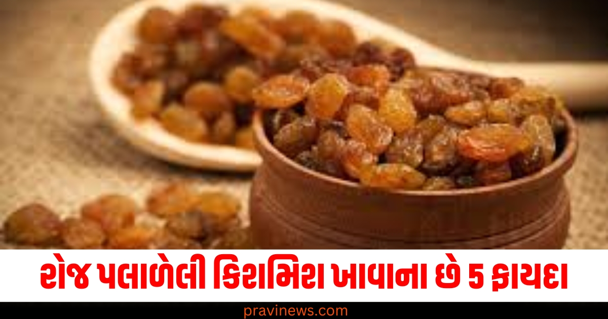 રોજ પલાળેલી કિશમિશ, (Soaked raisins daily), ખાવાના 5 ફાયદા, (5 benefits of eating), જાણો, (Know), દિવસમાં કેટલી ખાવી, (How many to eat in a day),