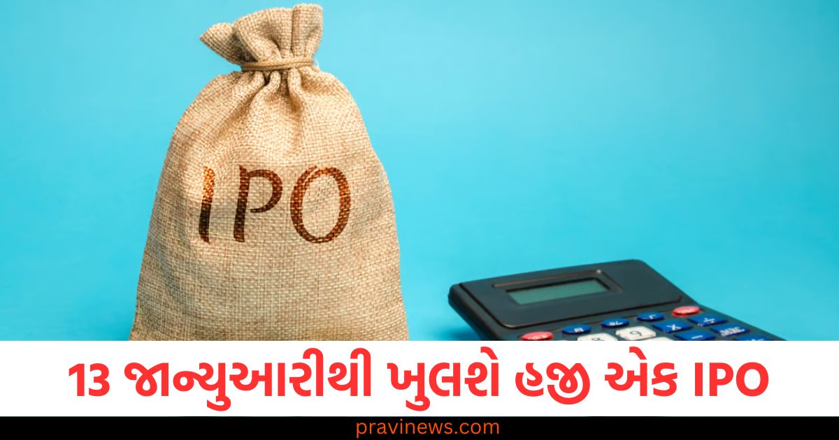 13 જાન્યુઆરી, (13th January), IPO, (Initial Public Offering), કિંમત ₹428, (Price ₹428), વિગતો, (Details), શેર, (Shares),