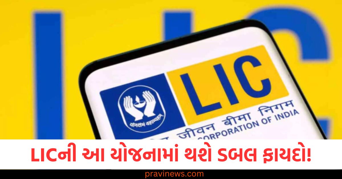 LICની આ યોજનામાં થશે ડબલ ફાયદો , તાલીમની સાથે દર મહિને પૈસા પણ મળશે https://www.pravinews.com/business/subhadra-yojana-registration-process-benefits-and-eligibility-criteria-88033