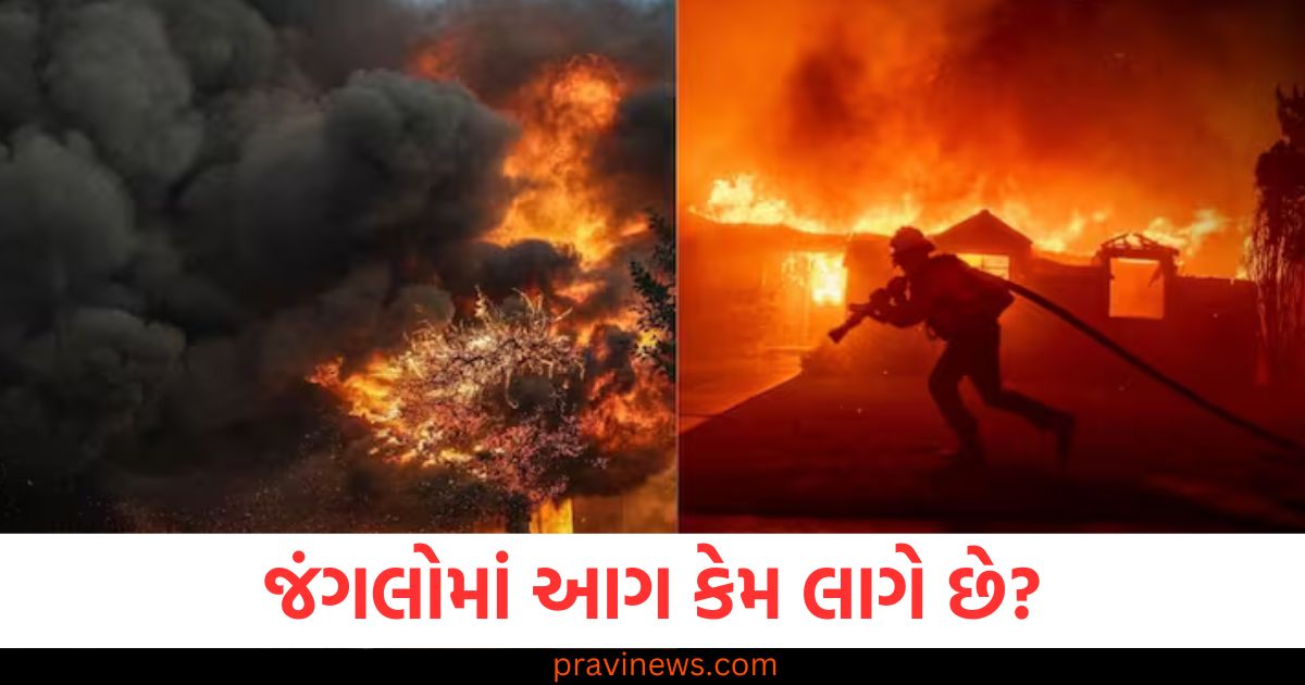 જંગલોમાં આગ ,(Janglalo ma Aag), આગના કારણો, (Aagna Karano), ખતરનાક આગ, (Khatarnaak Aag),