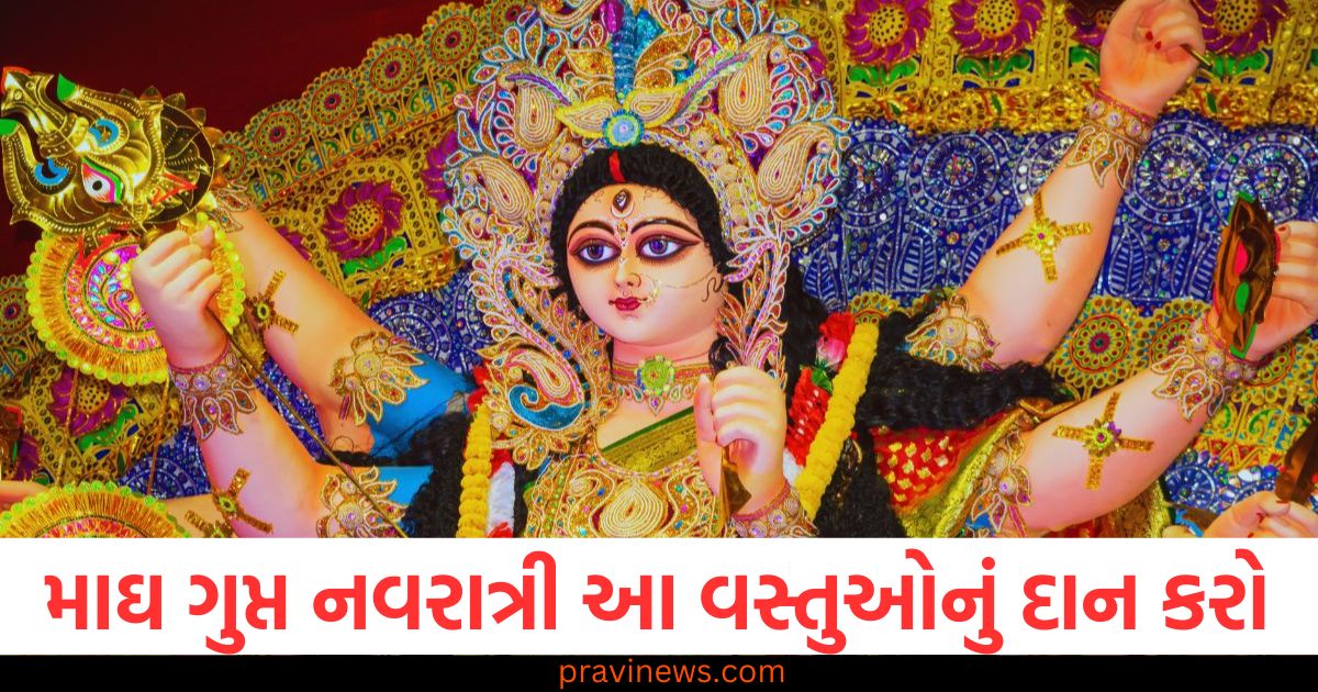 માઘ ગુપ્ત નવરાત્રી પર સૌભાગ્ય મેળવવા માટે આ વસ્તુઓનું દાન કરો https://www.pravinews.com/religion/magh-gupt-navratri-daan-donate-these-things-to-get-good-luck-on-gupt-navratri-93465