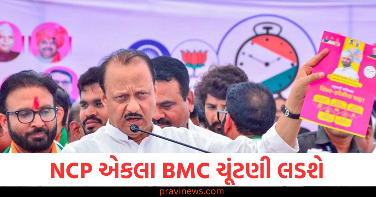 અજિત પવારની NCP એકલા BMC ચૂંટણી લડશે, એકલા લડવા માટે છે 2 મજબૂરીઓ https://www.pravinews.com/world-news-in-gujarati/mughal-era-institution-shi-digambar-ani-akhara-conducted-its-elections-89141