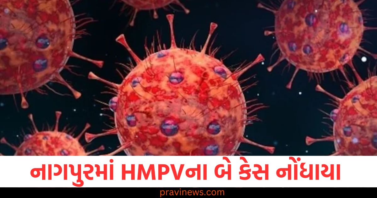 HMPV, (HMPV), કર્ણાટક, (Karnataka), તમિલનાડુ, (Tamil Nadu), ગુજરાત, (Gujarat), મહારાષ્ટ્ર, (Maharashtra), ત્રાટકવું, (Strike),