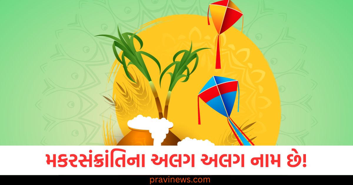 મકરસંક્રાંતિના અલગ અલગ નામ છે, જાણો તહેવારની ઉજવણીની પરંપરાઓ અને રીતો. https://www.pravinews.com/religion/lucky-zodiac-sign-on-1-january-2025-astrology-tips-aries-taurus-cancer-virgo-capricorn-80218