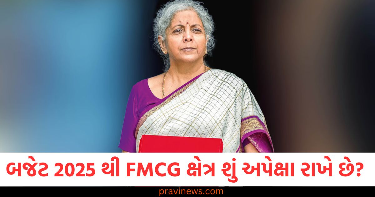 બજેટ 2025, (Budget 2025), FMCG ,ક્ષેત્ર (FMCG sector), વપરાશ, પ્રોત્સાહન, (Consumption promotion),