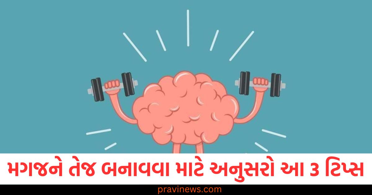 મગજને તેજ બનાવવા માટે અનુસરો આ 3 ટિપ્સ, તણાવ પણ દૂર રહેશે https://www.pravinews.com/sports/sana-ganguly-saurav-ganguly-sara-tendulkar-sachin-tentulkar-83012