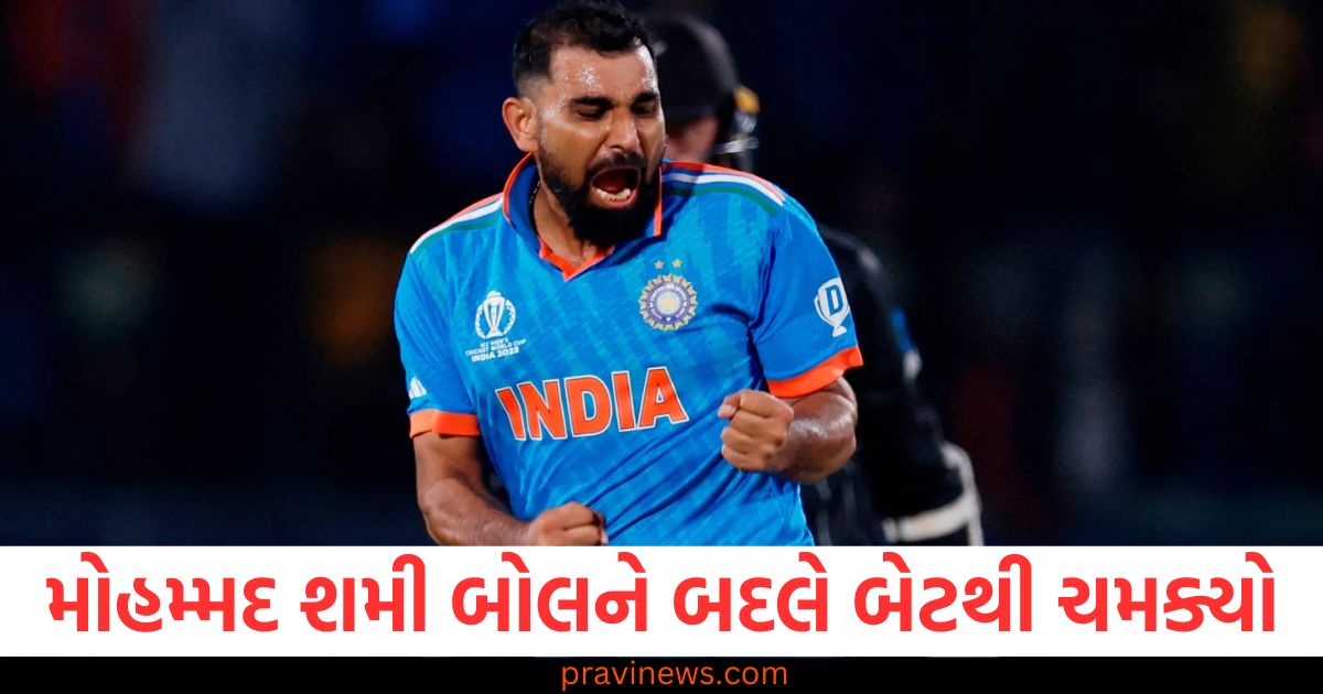 મોહમ્મદ, શમી, (Mohammad Shami), બોલ, (Ball), બેટ,(Bat), ચમક્યો, (Shined), આગામી, ચેમ્પિયન્સ ટ્રોફી, (Upcoming Champions Trophy), દાવેદારી, નોંધાવી (Claimed a spot),