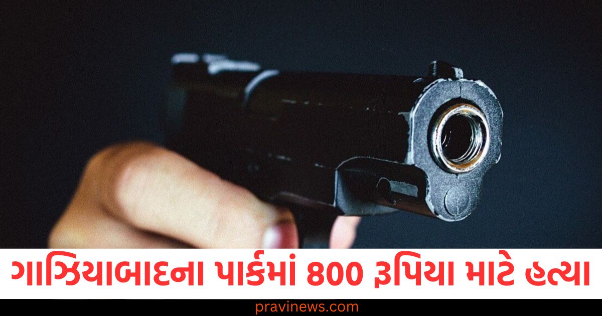 ગાઝિયાબાદના પાર્કમાં 800 રૂપિયા માટે હત્યા, ગોળી લાગતા મૃત્યુ https://www.pravinews.com/world-news-in-gujarati/delhi-school-bomb-threat-email-rk-puram-dps-building-search-operation-69862