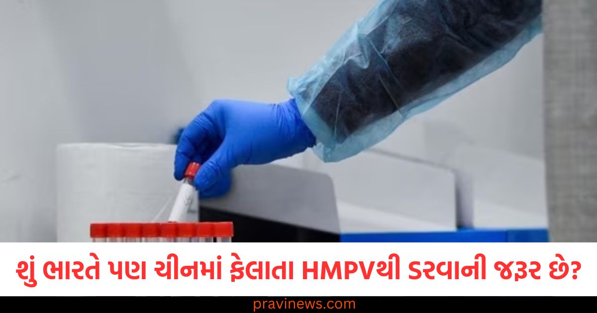 શું ભારતે પણ ચીનમાં ફેલાતા HMPV વાયરસથી ડરવાની જરૂર છે? કેરળ સરકાર એલર્ટ પર! https://www.pravinews.com/world-news-in-gujarati/pm-narendra-modi-writes-letter-to-neeraj-chopra-mother-after-eating-churma-2024-42772