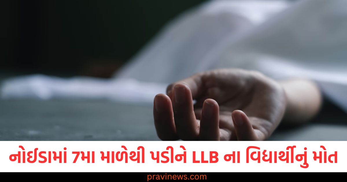 નોઈડામાં 7મા માળેથી પડીને LLB ના વિદ્યાર્થીનું મોત, અકસ્માત બાદ પોલીસે શરૂ કરી તપાસ https://www.pravinews.com/world-news-in-gujarati/delhi-assembly-election-2025-alka-lamba-reacts-as-cm-atishi-launches-crowd-funding-campaign-88517