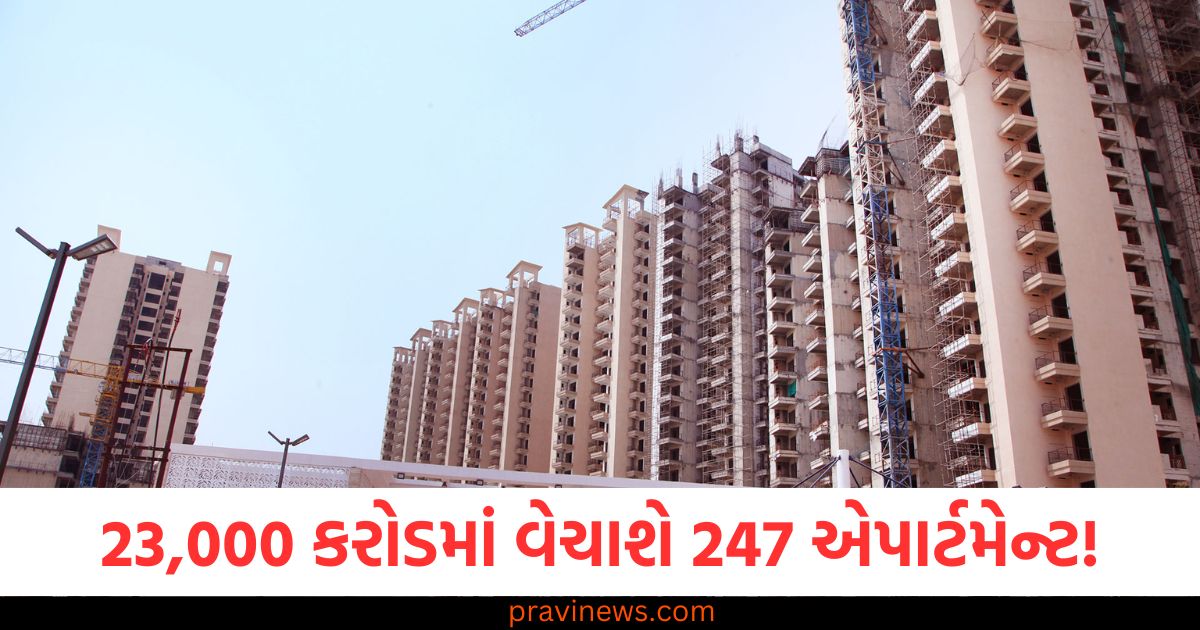 અરે બાપરે.....! 23,000 કરોડમાં વેચાશે ૨૪૭ એપાર્ટમેન્ટ, ચાલો કહો એકની શું હશે કિંમત? https://www.pravinews.com/lifestyle/health-fitness/health-benefits-of-eating-eggs-everyday-what-happens-to-your-body-when-you-eat-eggs-roz-ande-khane-ke-fayde-95803