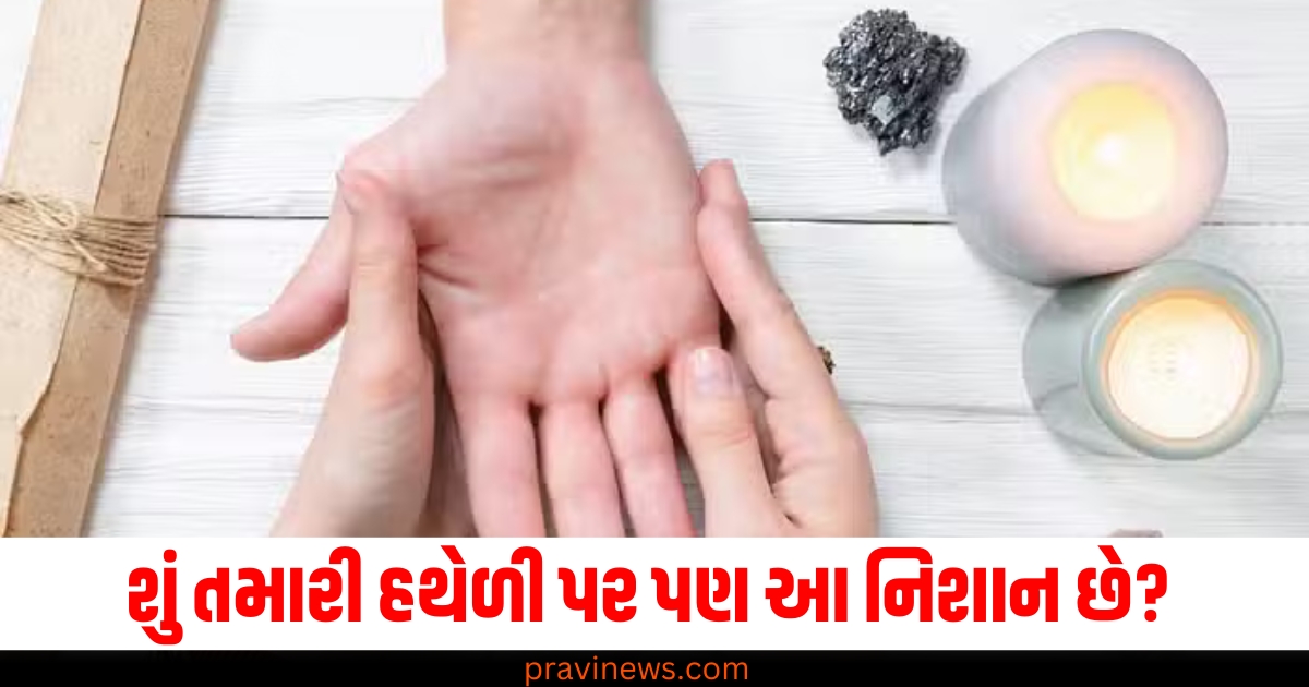 હથેળી, (Palm), નિશાન, (Mark), રેખા, (Line), ભાગ્યશાળી, (Fortunate), સંકેત, (Indicates),