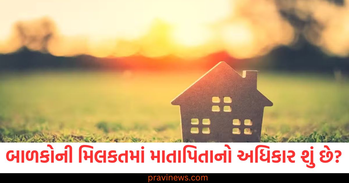 બાળકોની મિલકતમાં માતાપિતાનો અધિકાર શું છે? જાણો આ અંગેના નિયમો શું છે https://www.pravinews.com/tag/%e0%aa%ae%e0%aa%bf%e0%aa%b2%e0%aa%95%e0%aa%a4