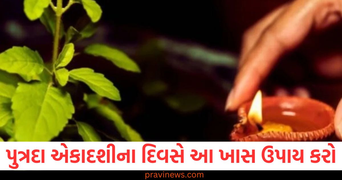 Putrada, Ekadashi, (પુત્રદા એકાદશી), Tulsi, Remedies, (તુલસી સંબંધિત ઉપાય), Mata, Lakshmi, Blessings, (માતા લક્ષ્મી આશીર્વાદ), Ekadashi, Vrat (એકાદશી વ્રત),