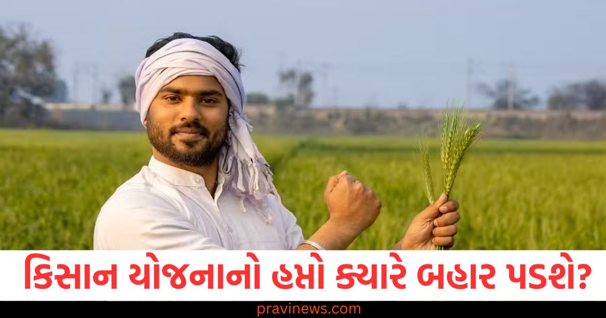 PM કિસાન યોજનાનો 19મો હપ્તો ક્યારે બહાર પડશે? શું ખેડૂત પતિ અને પત્ની બંનેને લાભ મળશે https://www.pravinews.com/world-news-in-gujarati/delhi-assembly-elections-2025-bjp-decide-candidate-formula-first-list-81886