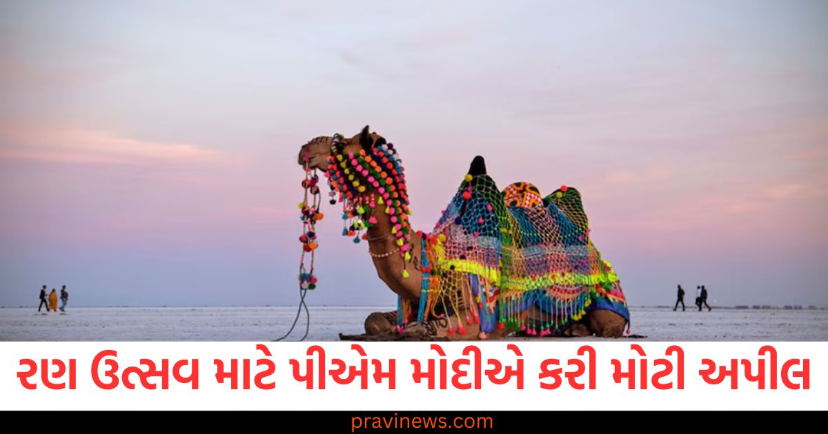 કચ્છ તમારી રાહ જોઈ રહ્યું છે...', રણ ઉત્સવ માટે પીએમ મોદીએ કરી મોટી અપીલ https://www.pravinews.com/world-news-in-gujarati/mahakumbh-2025-prayagraj-sangam-ghat-rasulabad-ghat-dashaashvmedh-ghat-triveni-ntcpvp-86899