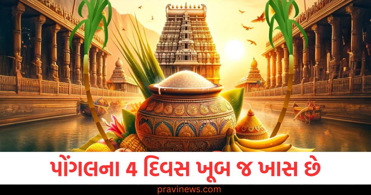 પોંગલ, 4 દિવસ, ખાસ તહેવાર, પાક, ઊંડો સંબંધ,