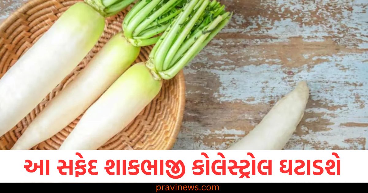 આ સફેદ શાકભાજી કોલેસ્ટ્રોલ ઘટાડશે, પેટ સંબંધિત રોગો પણ દૂર થશે https://www.pravinews.com/tag/%e0%aa%b8%e0%aa%ab%e0%ab%87%e0%aa%a6