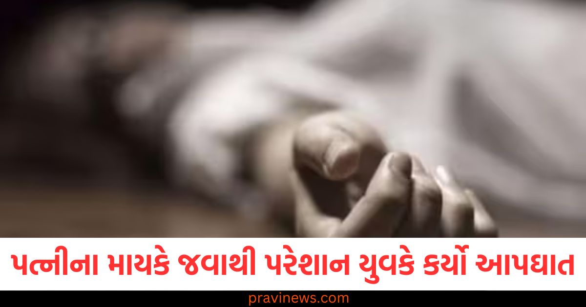 પત્નીના, માતાપિતાના ઘરમાં રહેવું, યુવક આપઘાત, વિડિયો મેસેજ, જવાબદારી પર પ્રશ્ન,