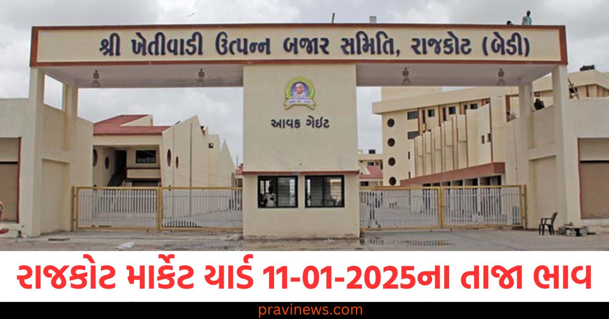 રાજકોટ માર્કેટ યાર્ડ આજના ભાવ | Rajkot APMC Market Price Today 11-01-2025 https://www.pravinews.com/world-news-in-gujarati/pm-modi-will-discuss-road-map-of-developed-india-with-the-youth-tomorrow-at-the-youth-festival-87850