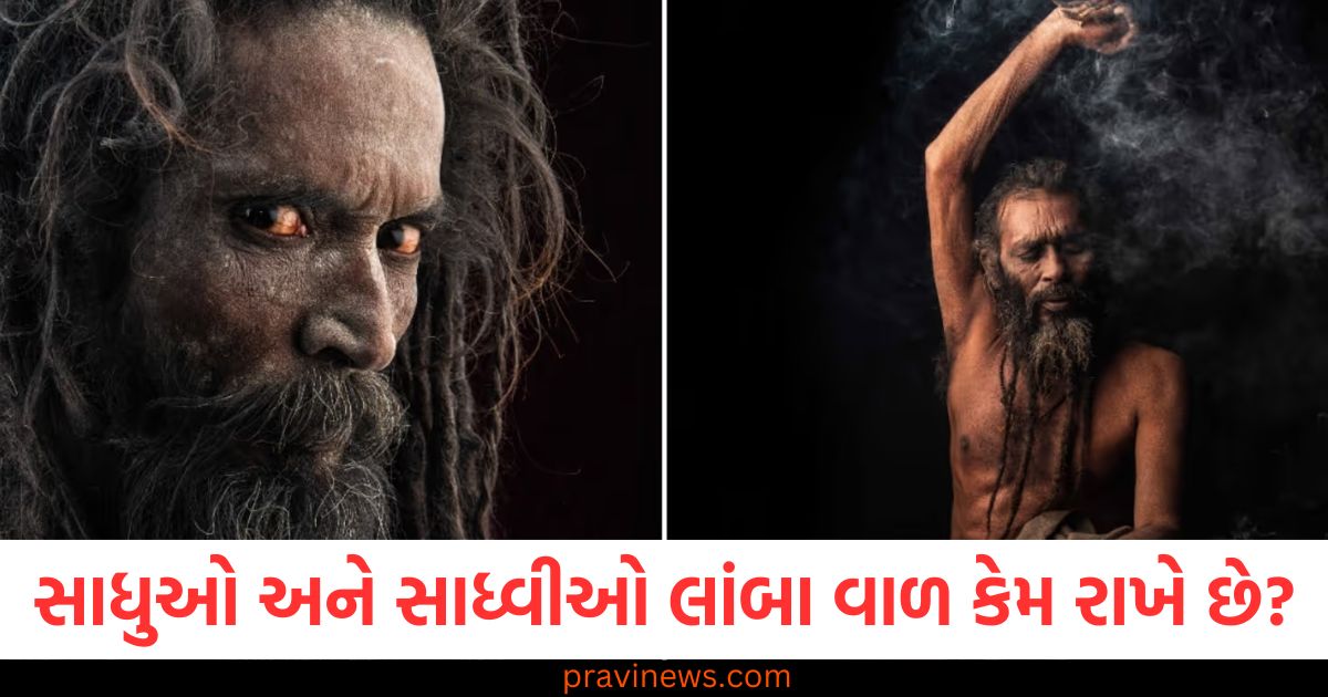 સાધુઓ અને સાધ્વીઓ લાંબા વાળ કેમ રાખે છે? ધાર્મિક મહત્વ અને તેનાથી સંબંધિત રહસ્યો જાણો https://www.pravinews.com/religion/astrology/shani-nakshatra-gochar-february-2025-positive-impact-on-these-zodiac-sign-will-shine-from-basant-panchami-97903