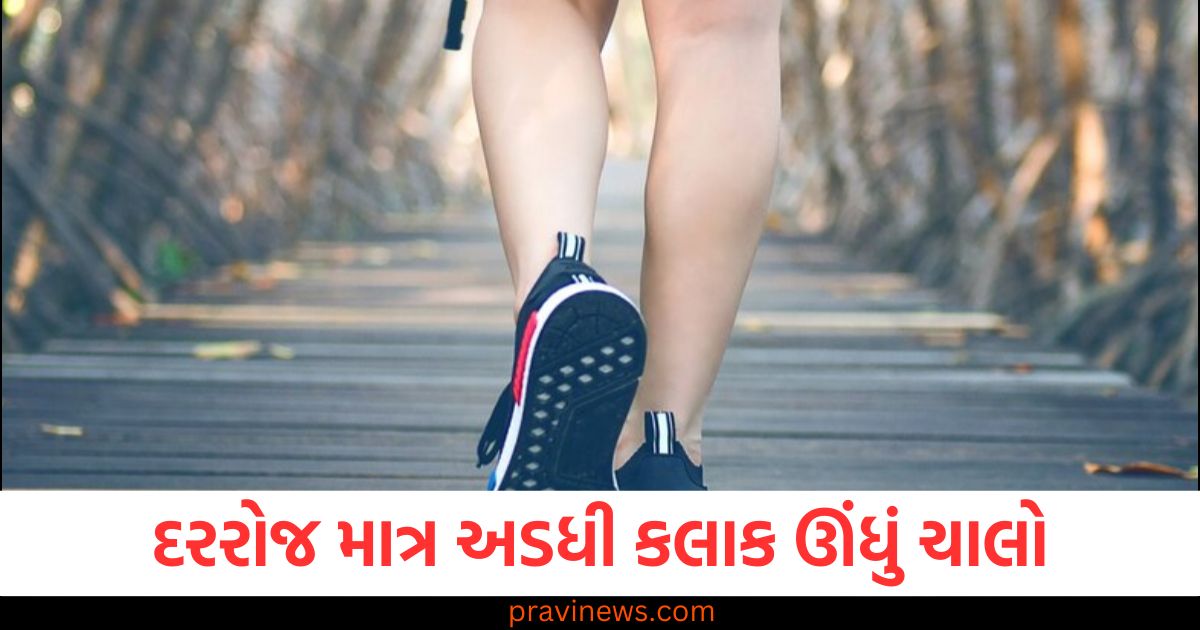 વજનથી લઈને દુખાવા સુધીની સમસ્યાઓમાંથી મળશે રાહત! દરરોજ માત્ર અડધી કલાક ઊંધું ચાલો. https://www.pravinews.com