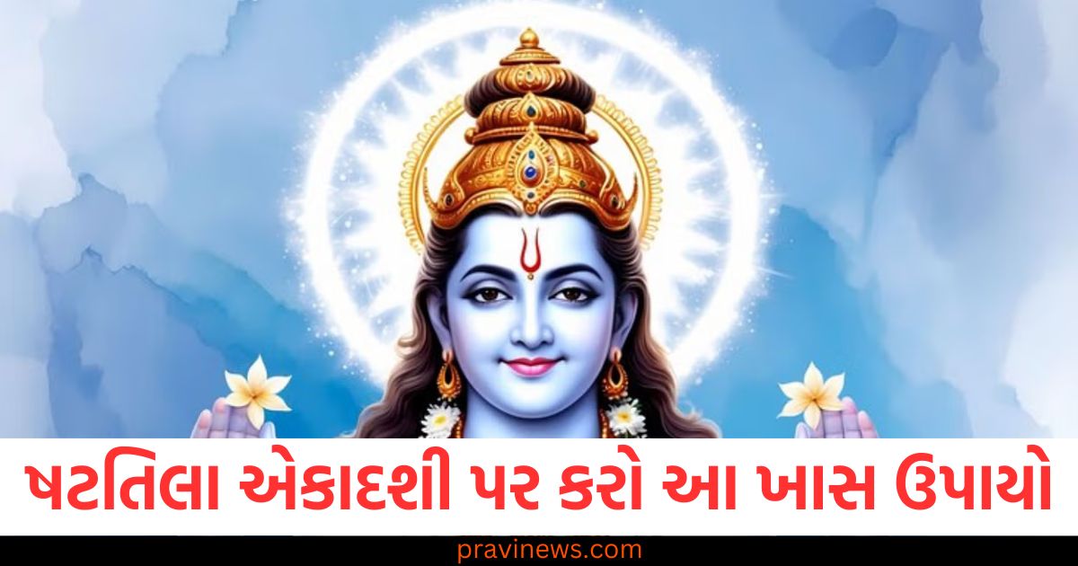 શટતિલા એકાદશી પર ખાસ ઉપાયો અને ભગવાન હરિની કૃપા, શટતિલા એકાદશી ઉપાય: ભગવાન હરિ માટે વિધિ અને શુભ પરિણામ, શટતિલા એકાદશી પર ભગવાન હરિના આશીર્વાદ માટે આ ખાસ ઉપાય, શટતિલા એકાદશી પર ભગવાન હરિની કૃપા માટે શ્રેષ્ઠ ઉપાય, શટતિલા એકાદશી ઉપાય: ભગવાન હરિની કૃપા મેળવવા માટે સરળ ઉપાય,