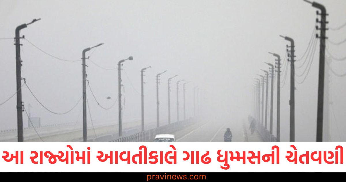 દિલ્હી NCR સહિત આ રાજ્યોમાં આવતીકાલે ગાઢ ધુમ્મસની ચેતવણી, IMD એ જાહેર કર્યું ઓરેન્જ એલર્ટ https://www.pravinews.com/world-news-in-gujarati/8-month-old-child-in-bengaluru-is-suspected-to-have-contracted-human-metapneumovirus-hmpv-84056