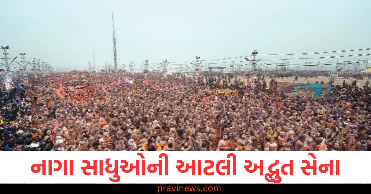 નાગા સાધુઓ, અદ્ભુત સેના, આધ્યાત્મિક યાત્રા, ભૂતકાળ, ધાર્મિક પ્રથા,