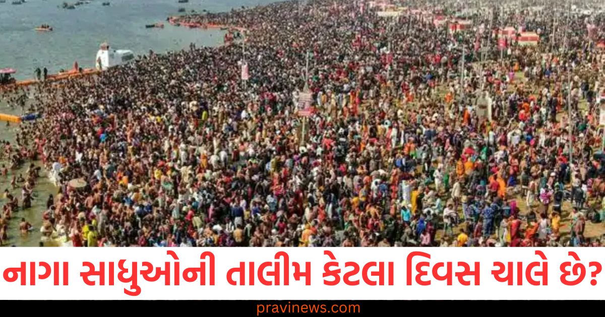 નાગા સાધુઓ, તાલીમ, કેટલા દિવસ ચાલે છે, અખાડા, સાધુ જીવન,