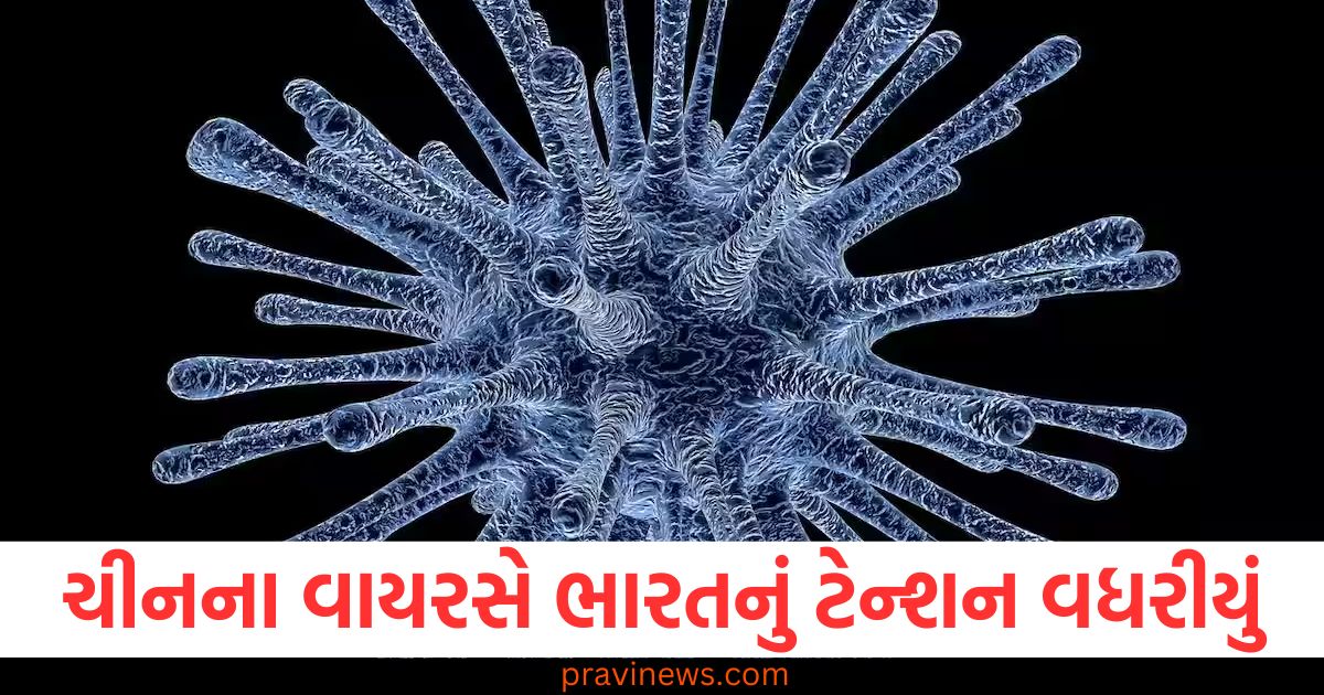 ચીનના વાયરસે ભારતનું ટેન્શન વધારવાનું શરૂ કર્યું, હવે અમદાવાદમાં 2 મહિનાના બાળકને ચેપ લાગ્યો, દેશમાં અત્યાર સુધીમાં કેટલા? https://www.pravinews.com/entertainment/bigg-boss-18-vivian-dsena-angry-on-makers-ready-to-quit-show-know-why-84306