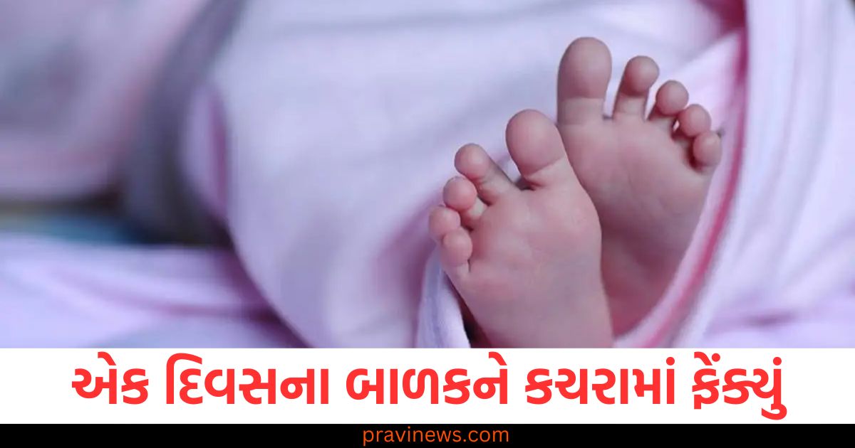 એક દિવસના બાળકને કચરામાં ફેંક્યું, માતા 16 વર્ષની સગીર નીકળી https://www.pravinews.com/gujarat-news/gujarat-government-started-multitasking-facility-e-nagar-in-159-municipalities-including-8-municipalities-76195