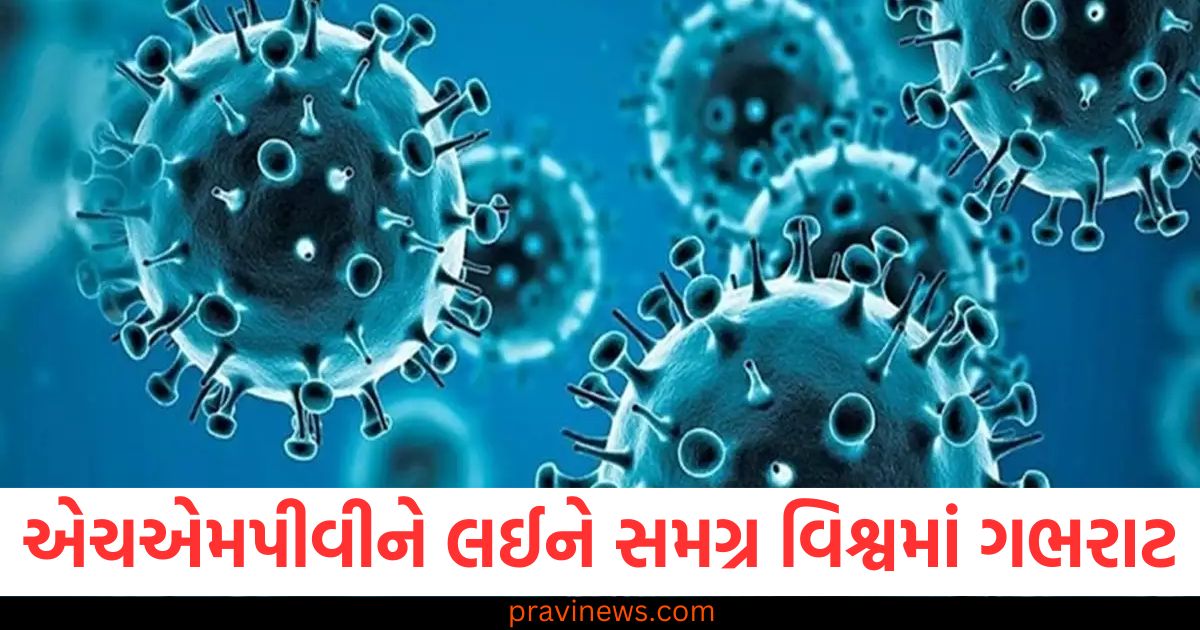 એચએમપીવીને લઈને સમગ્ર વિશ્વમાં ગભરાટ , આ વાયરસને લઈને એક મોટી આગાહી. https://www.pravinews.com/world-news-in-gujarati/how-to-find-hospital-for-free-treatment-through-ayushman-card-85482