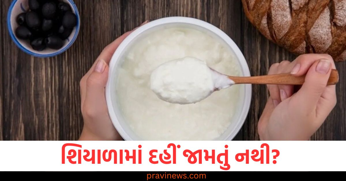 શિયાળામાં દહીં જામતું નથી? તો હમણાં જ અજમાવો આ ટિપ્સ અને સ્વાદિષ્ટ દહીં ખાઓ https://www.pravinews.com/ajab-gajab/bank-holidays-in-february-2025-check-full-list-of-public-and-regional-holidays-important-dates-to-note-94889