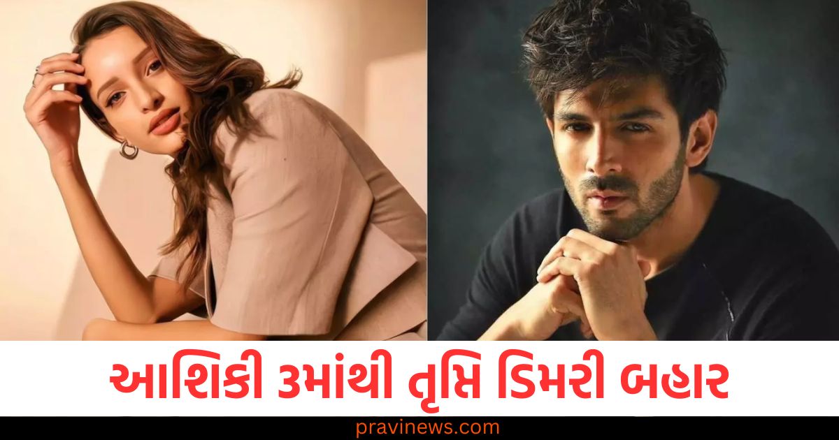 Aashiqui 3, (આશિકી 3), Trupti, Dimri, (તૃપ્તિ ડિમરી), Kartik, Aaryan, (કાર્તિક આર્યન), Film, Delay, (ફિલ્મ મુલતવી),