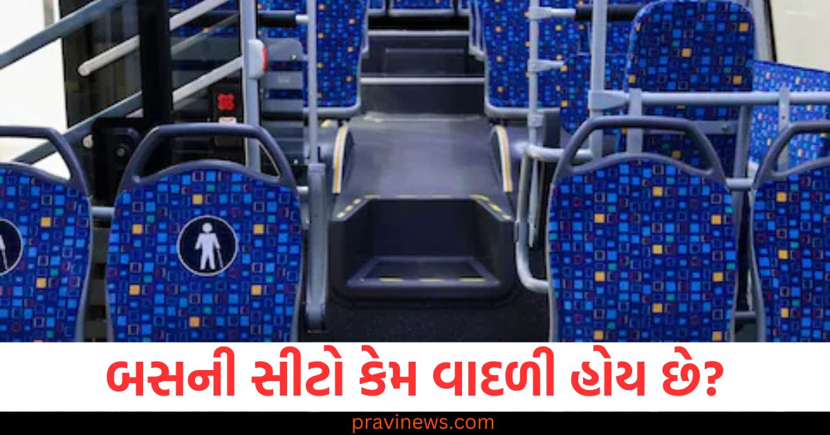 બસની સીટો કેમ વાદળી હોય છે, શા માટે વિચિત્ર પેટર્નથી બનેલી હોય છે? જાણો સાચું કારણ https://www.pravinews.com/religion/astrology/kal-ka-rashifal-tomorrow-horoscope-9-january-2025-bhavishyafal-lucky-and-unlucky-zodiac-signs-85622